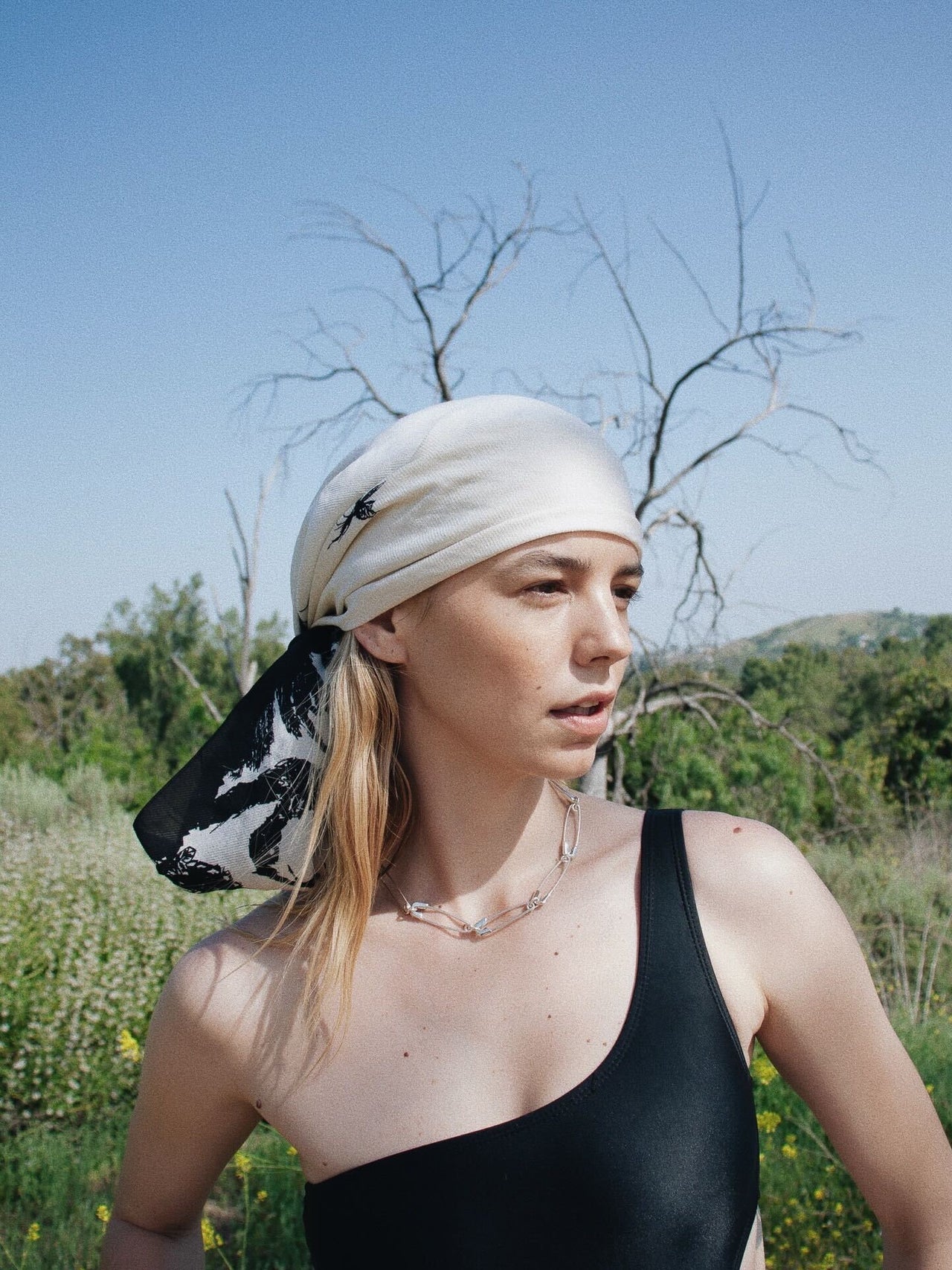 Inch, 5/8 In Pin Dia, Clevis Pin,2.25 In L 0.625in Dia,PK5 - 2MUR1|WWG - Foto 6