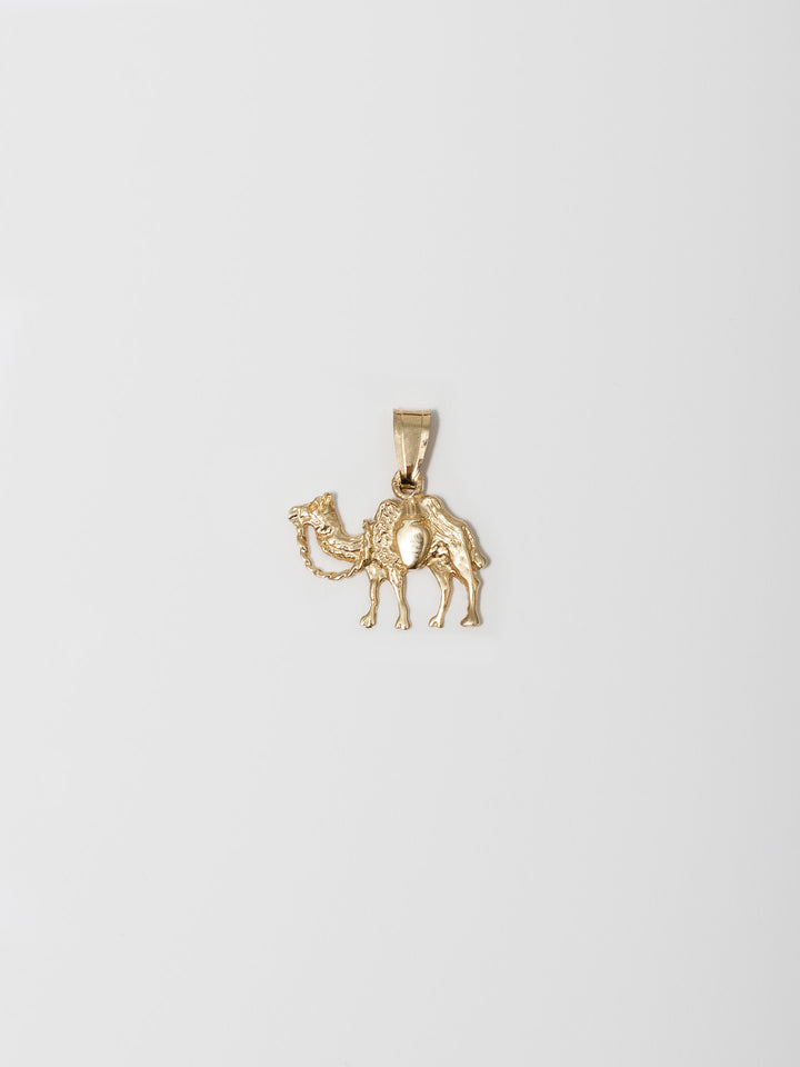 14kt Yellow Gold Camel Pendant shot on white background.