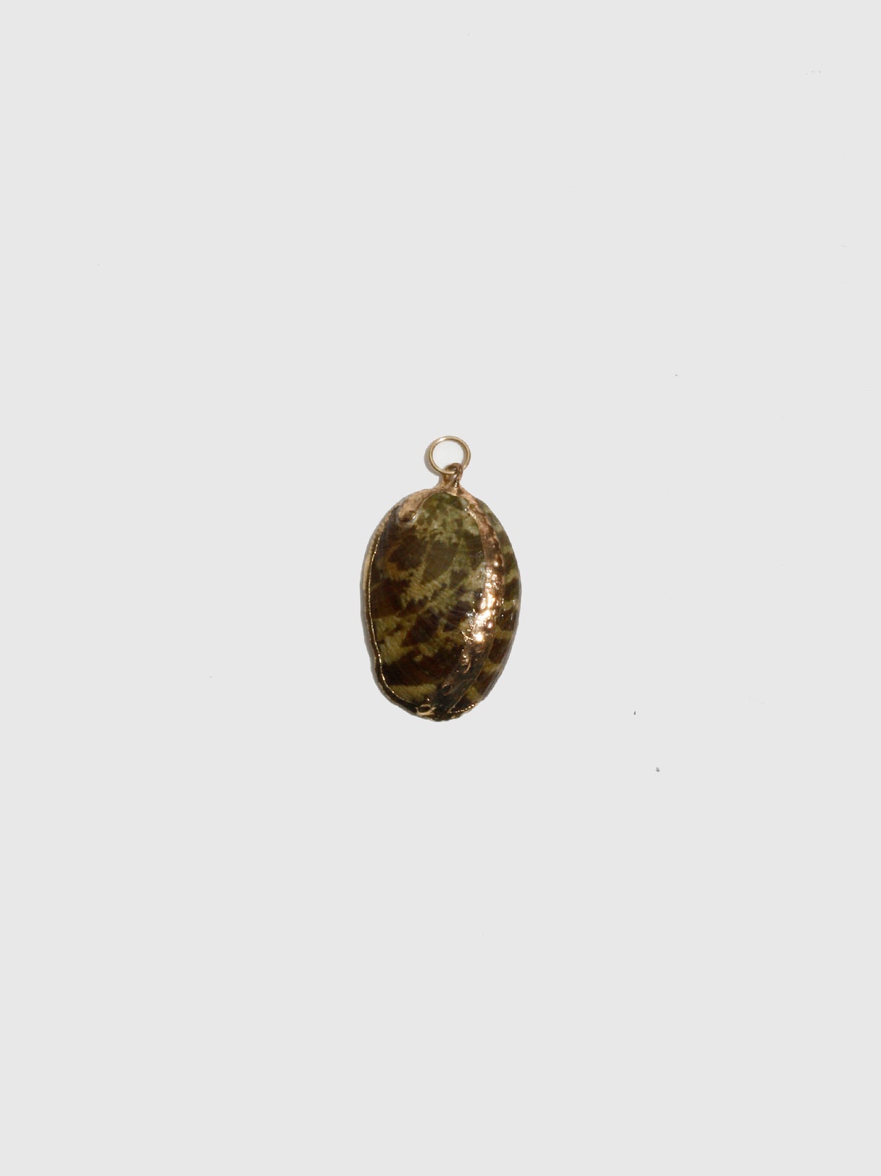 Abalone Tiger Shell Pendant - Archival Collection