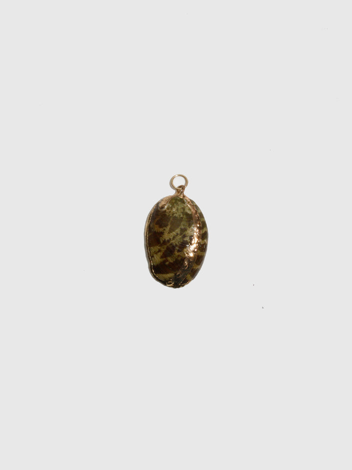 Abalone Tiger Shell Pendant - Archival Collection