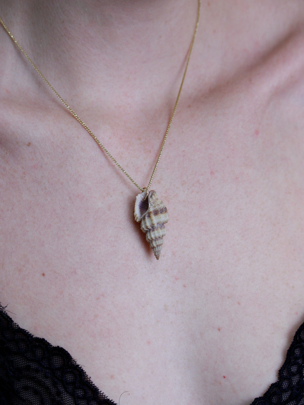 Stripe Conch Shell Pendant - Archival Collection