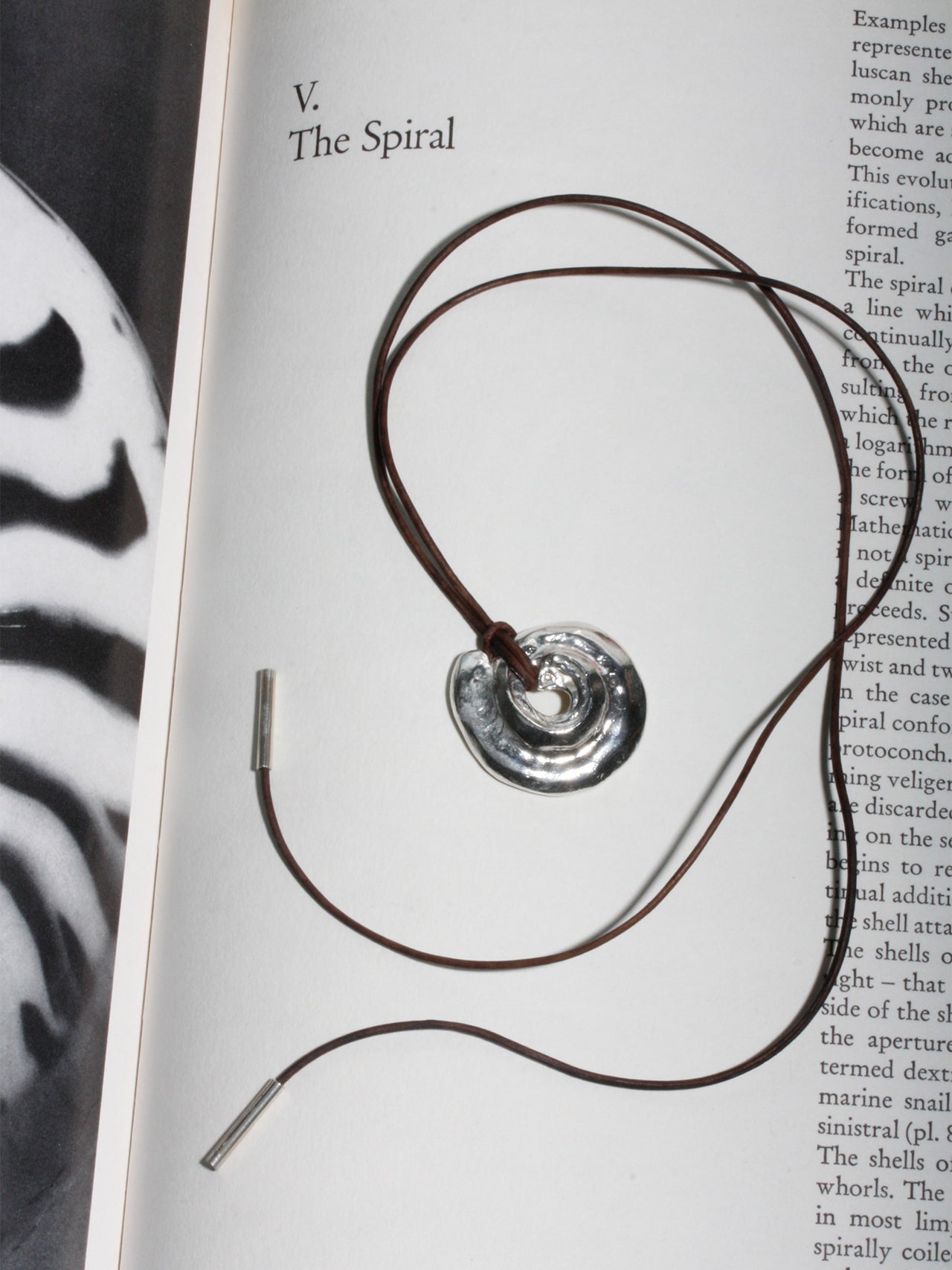 Tumbled Shell on Cord