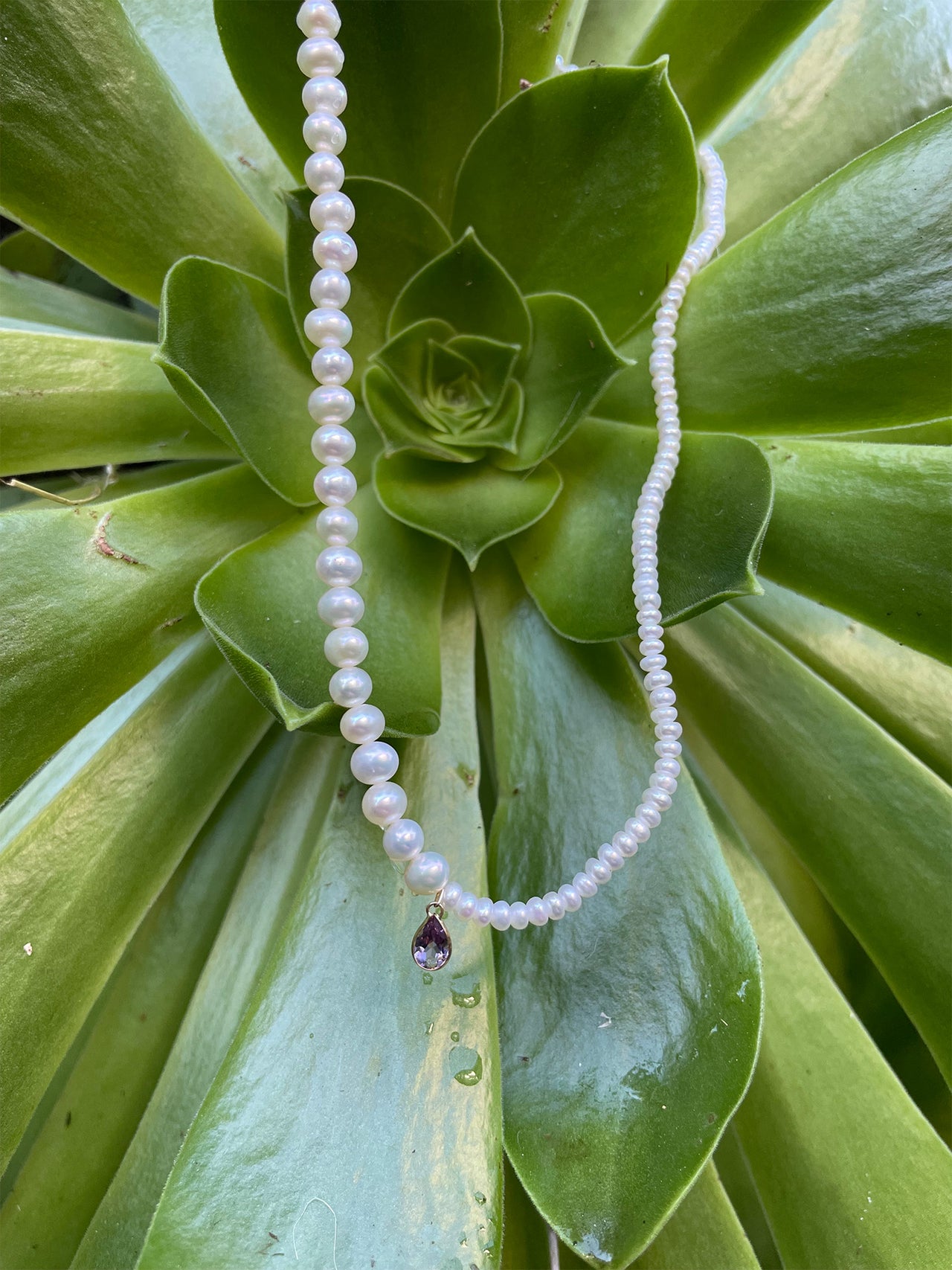 14kt Yellow Gold Pearl Necklace with Gem Drop  pictured on green succulent plant. 