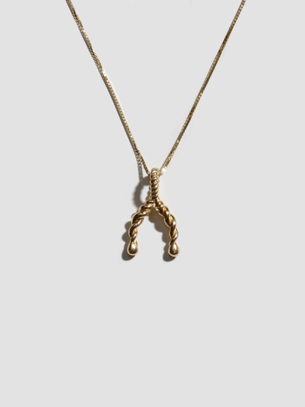 Spiral Wishbone Pendant