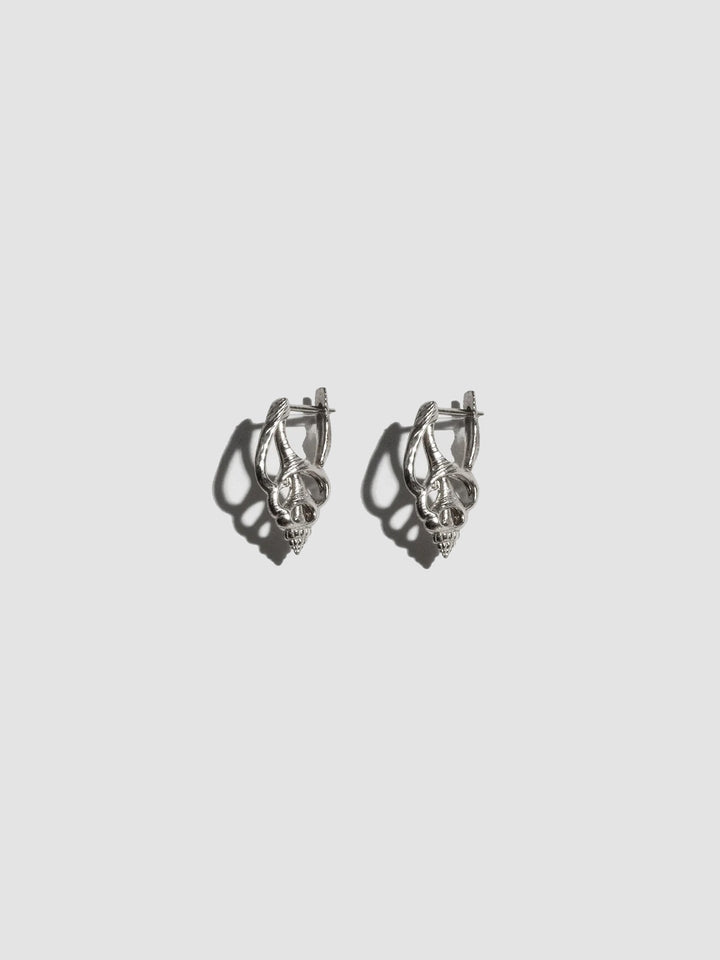 Shell earrings on light grey background