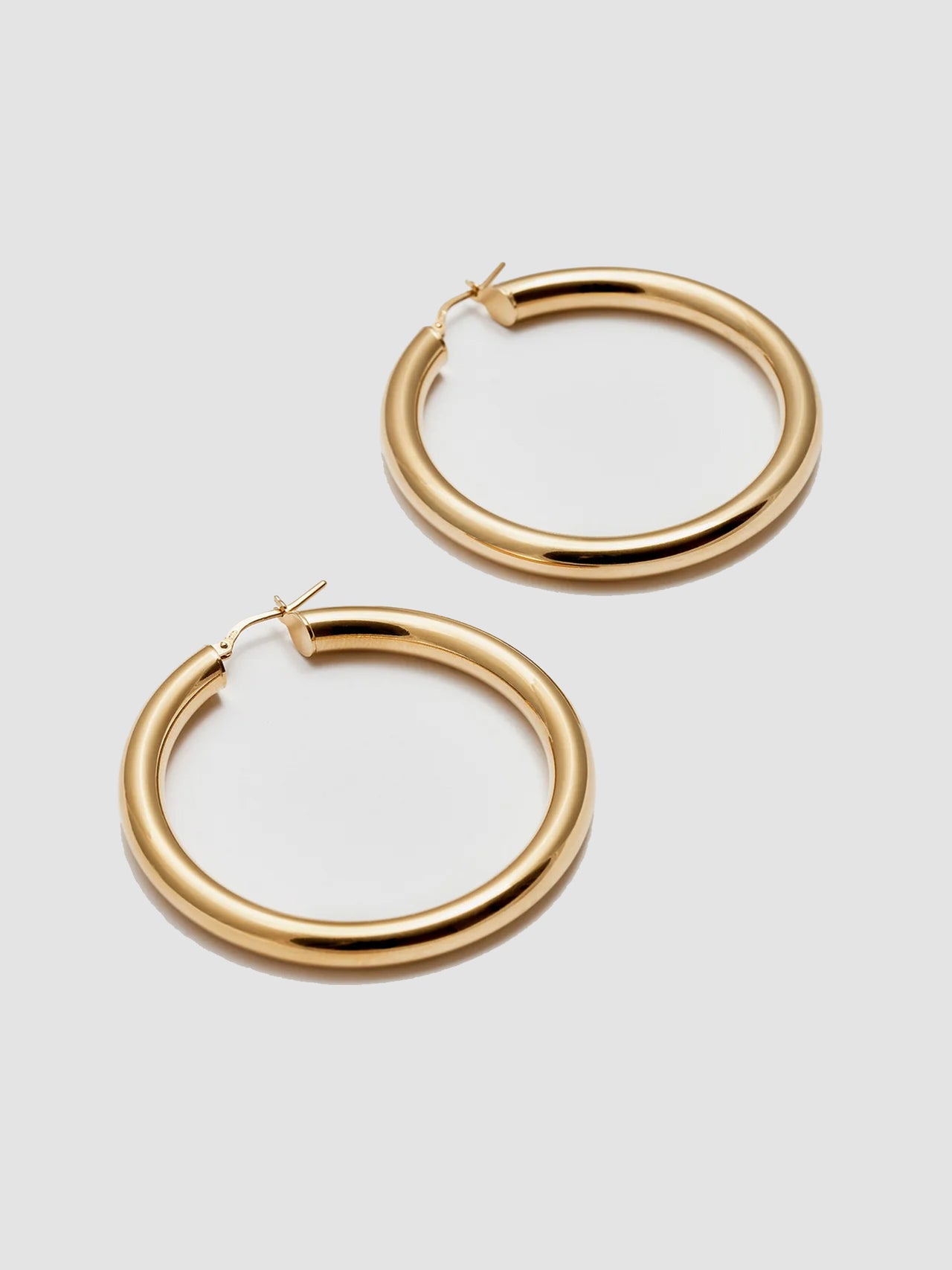 Large Tru Hoops