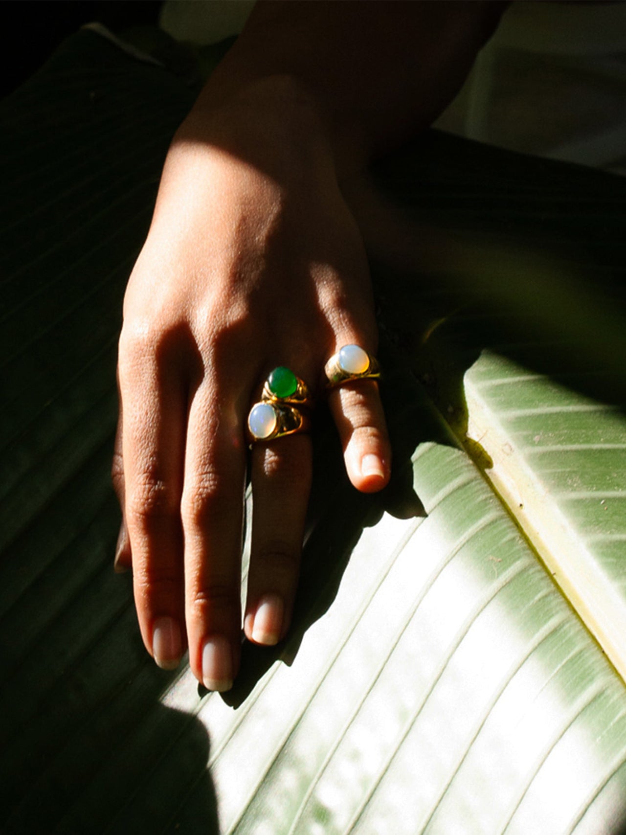 Classico Jade Signet pictured on models ring finger. 
