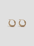 14kt Yellow Gold Mini Ribbed Hoops pictured on light grey background.