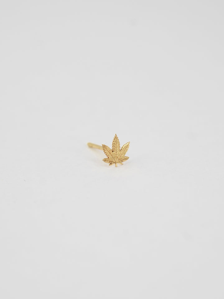 Marijuana Leaf 14kt Yellow Gold Stud shot on white background